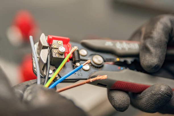 Best Electrician for Home Renovation  in Falfurrias, TX