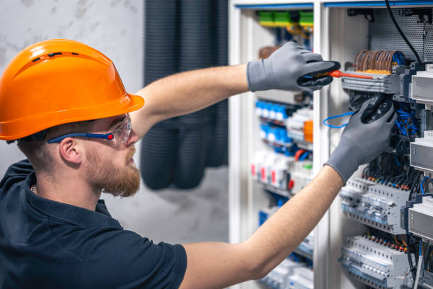 Best Electric Panel Repair  in Falfurrias, TX